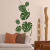 Sticker Philodendron